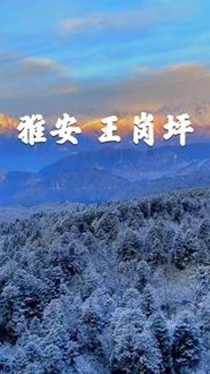 hahabet前往星辰大海